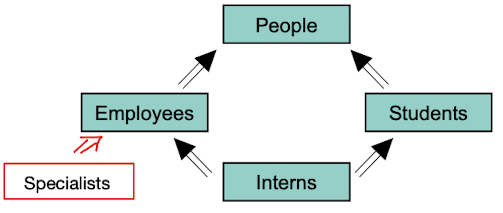 image-20240129165216305