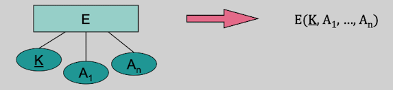 image-20240129194830526